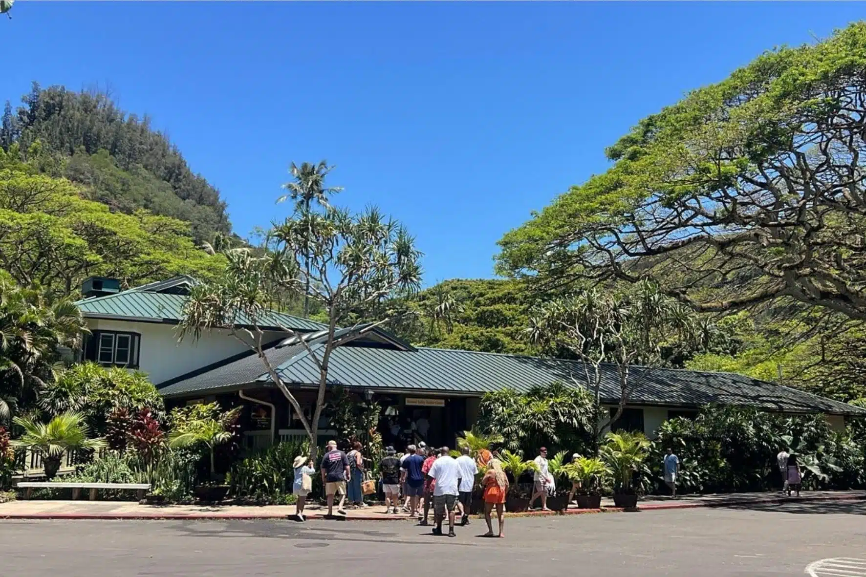 Macadamia Nut Farm Tropical Farms Oahu