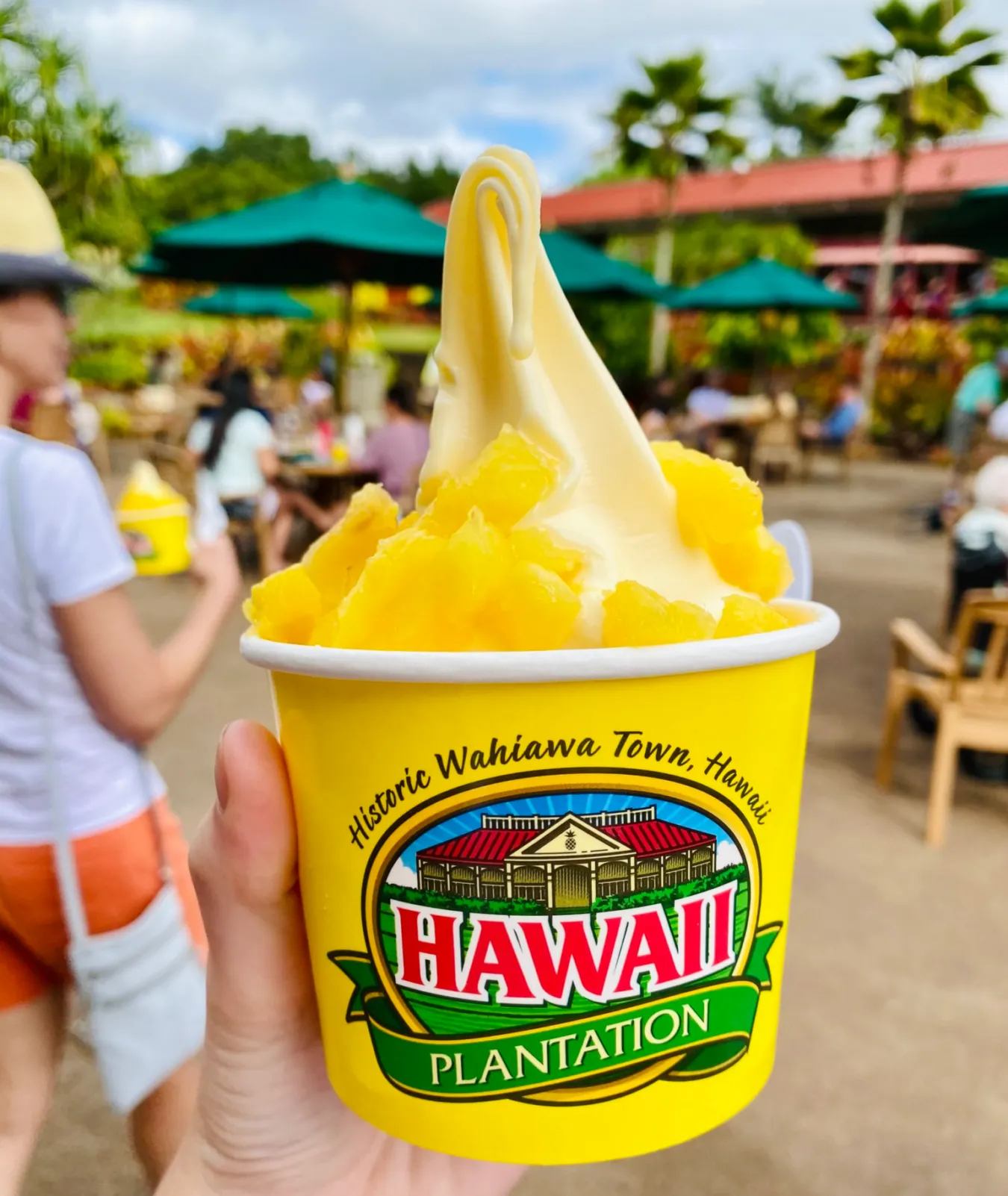 Dole Plantation stop on Oahu Circle Island Tour