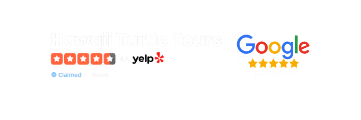 OAHU CIRCLE ISLAND TOUR HAWAII TUTLE TOURS REVIEWS