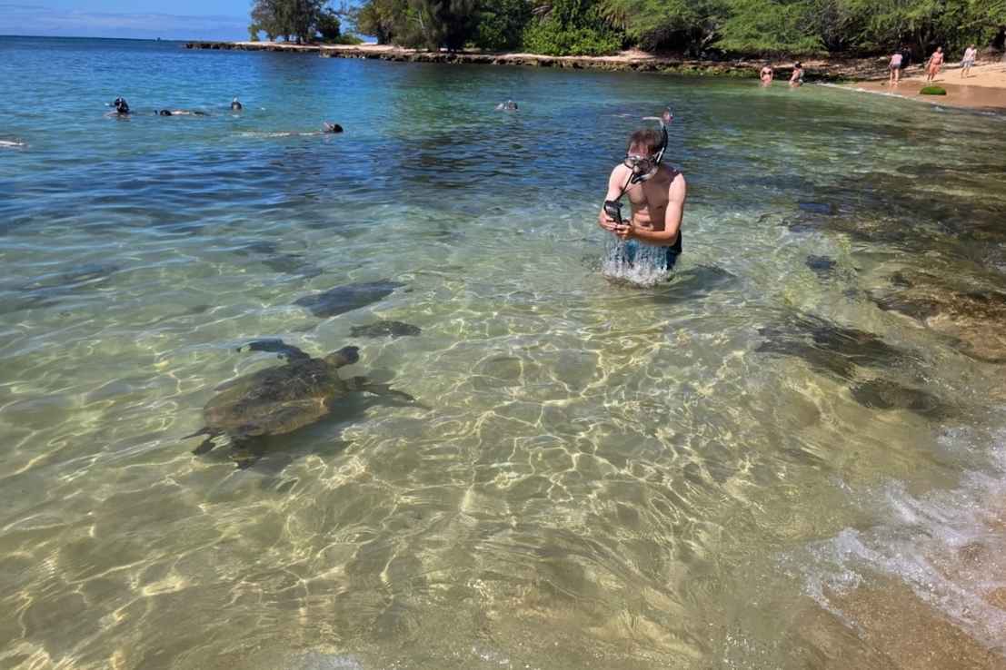 Turista observando y fotografiando tortugas durante una experiencia de snorkeling en Oahu