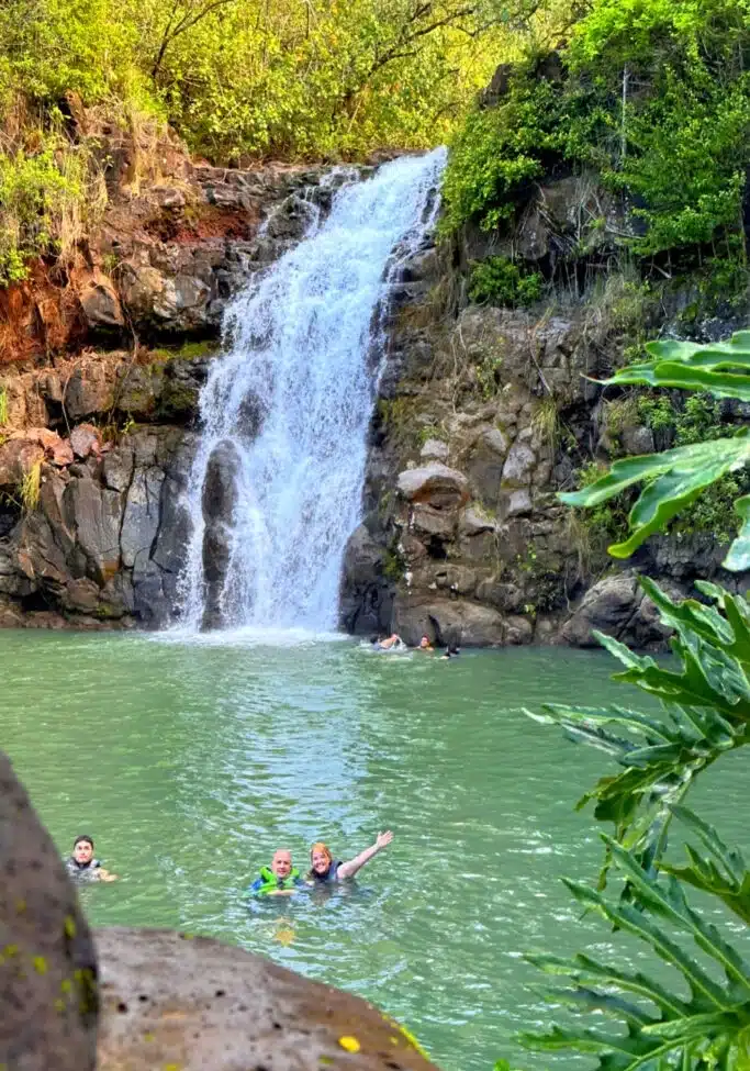 Waimea Falls private tour option